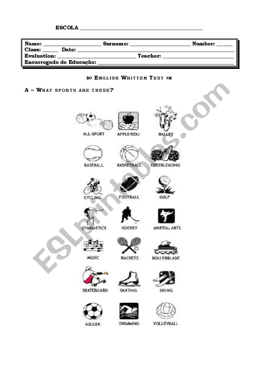 Sports worksheet