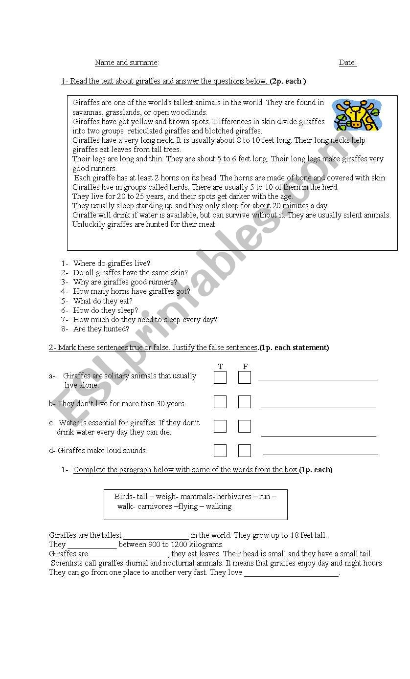 reading comprehension execi worksheet