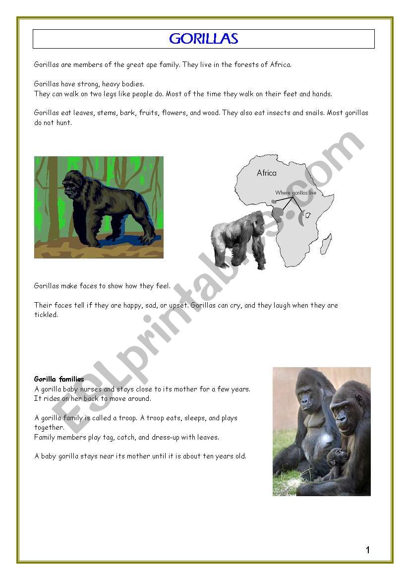 gorillas reading worksheet