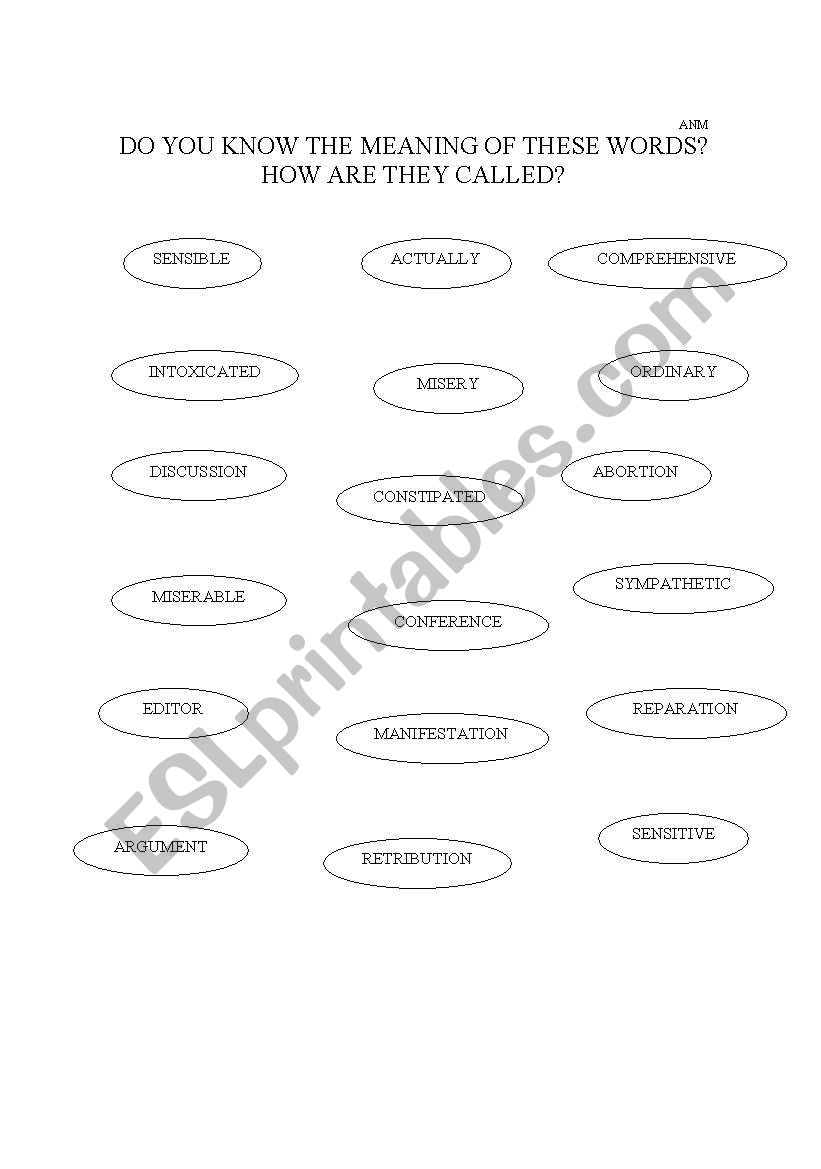 FALSE FRIENDS? worksheet