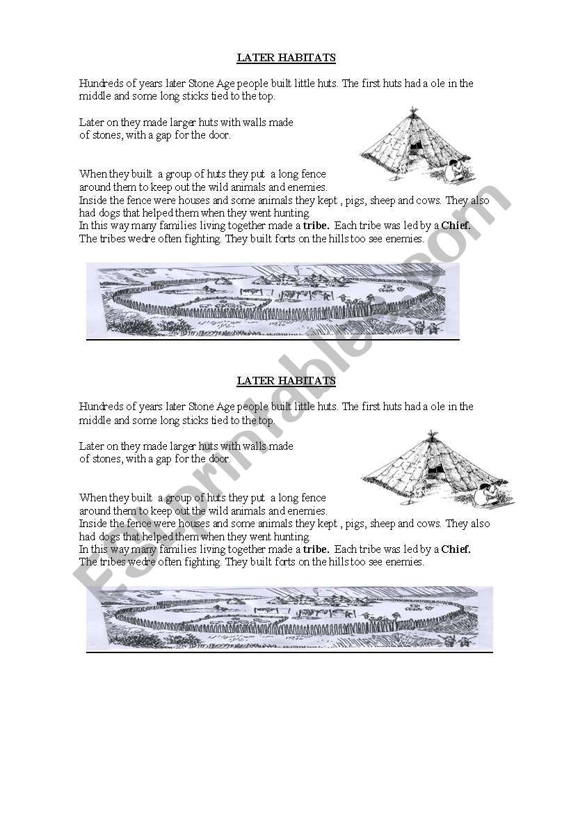 stone age worksheet