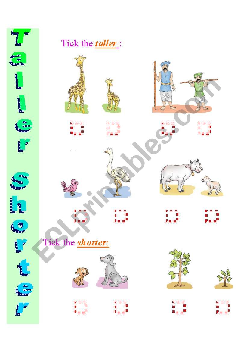 Exercise to practice Comparatives and Superlatives   Taller - Shorter  3  / 12 