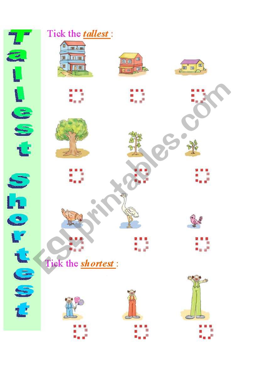 Exercise to practice Comparatives and Superlatives Tallest - Shortest  4  /  12