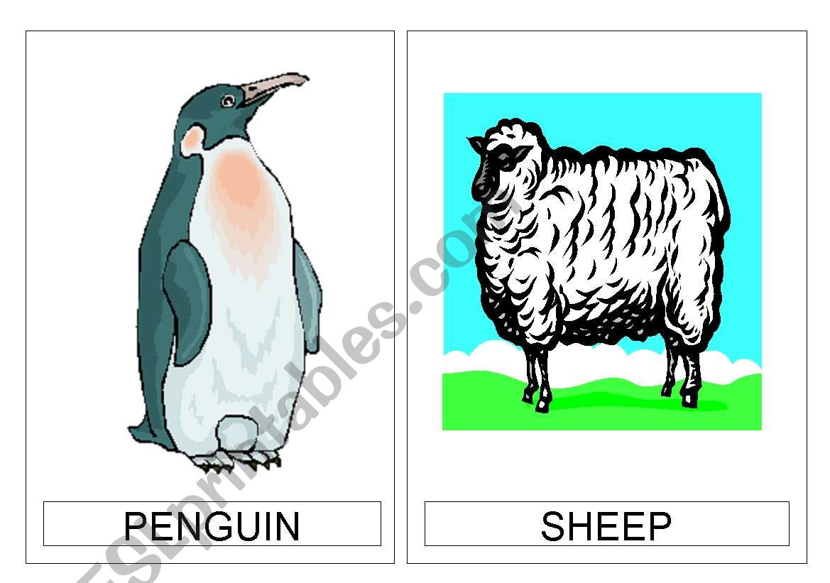 animals worksheet