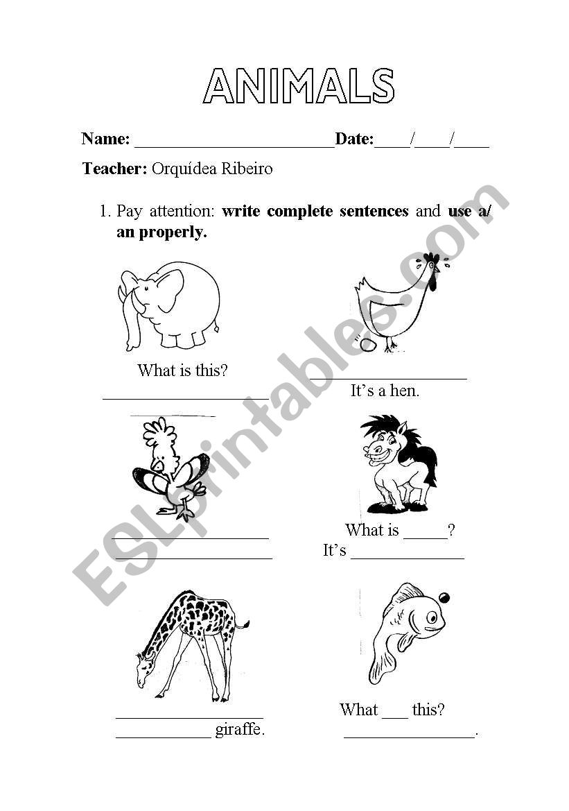 Animals and a/an worksheet