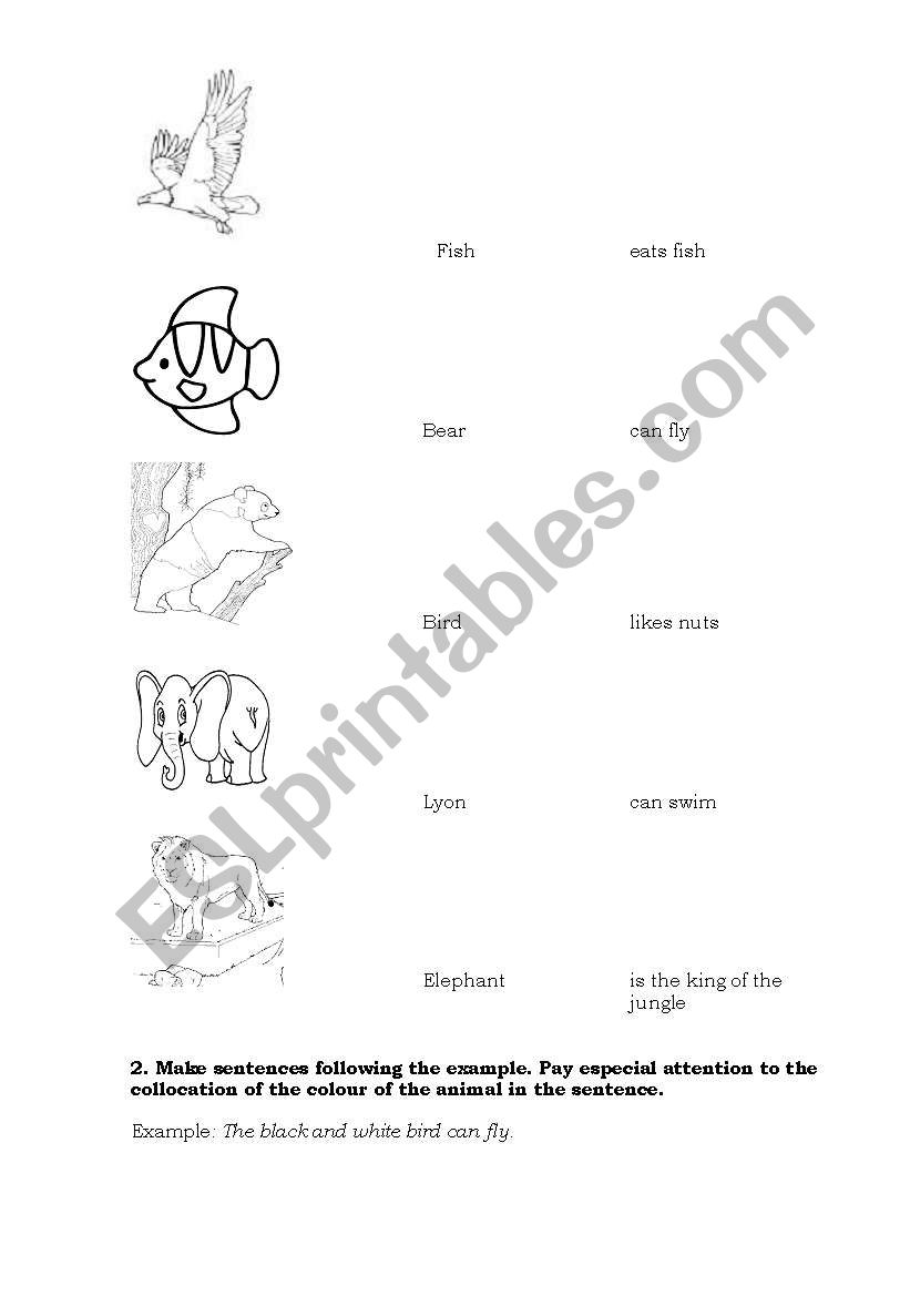 animals ands verbs  worksheet