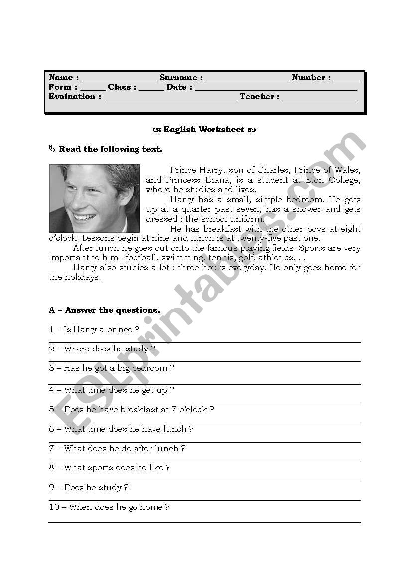 Daily Routine worksheet