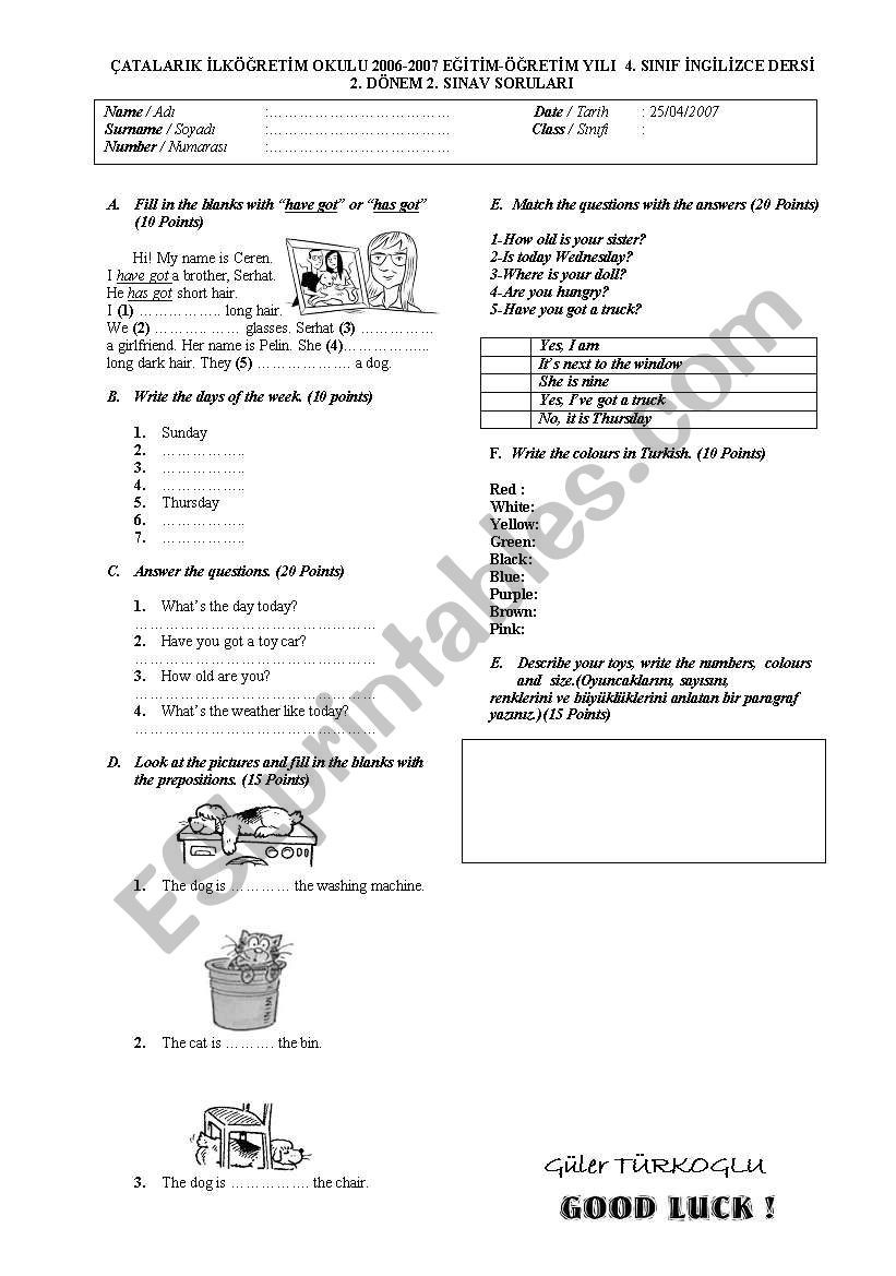 primary school test worksheet