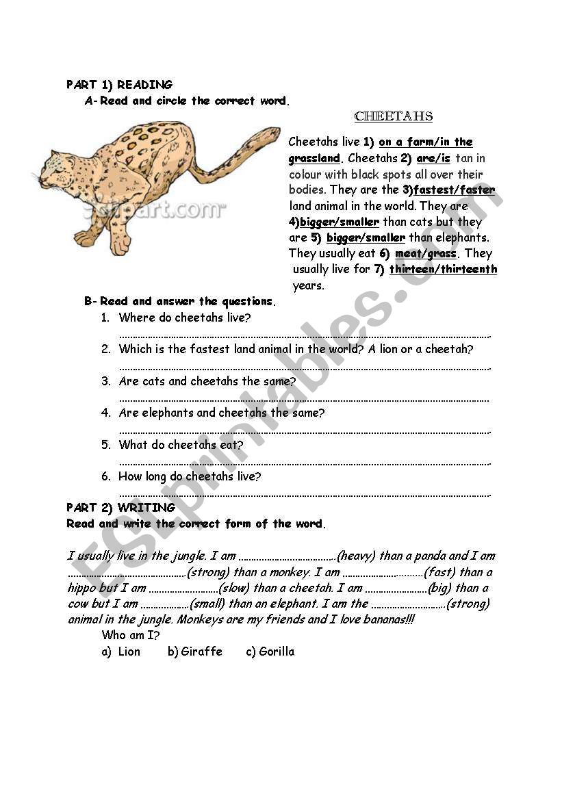 comparatives worksheet