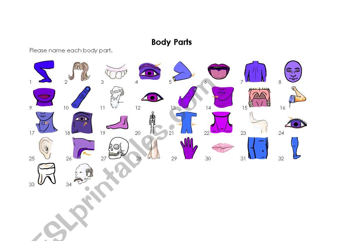 Body Parts worksheet