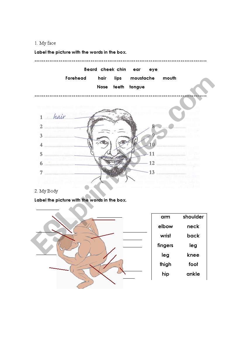 your body and face worksheet