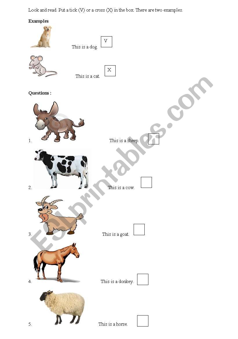 Animals - true or false (Cambridge exercise)