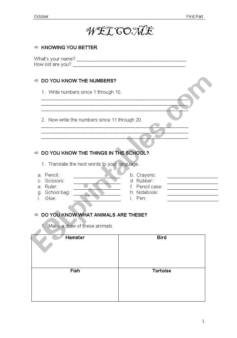 Basic Knowlege worksheet
