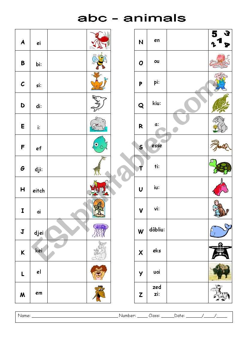 ABC - with animals worksheet