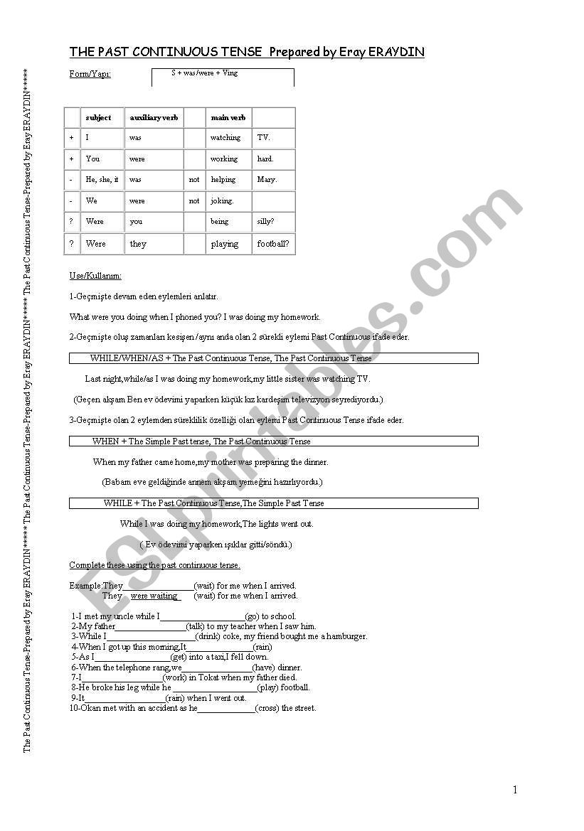 past continuous worksheet worksheet