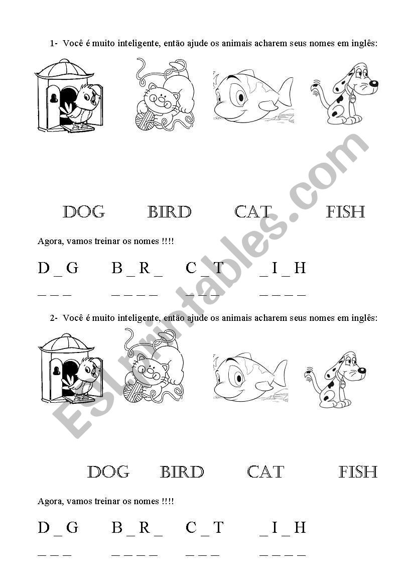 Animals worksheet