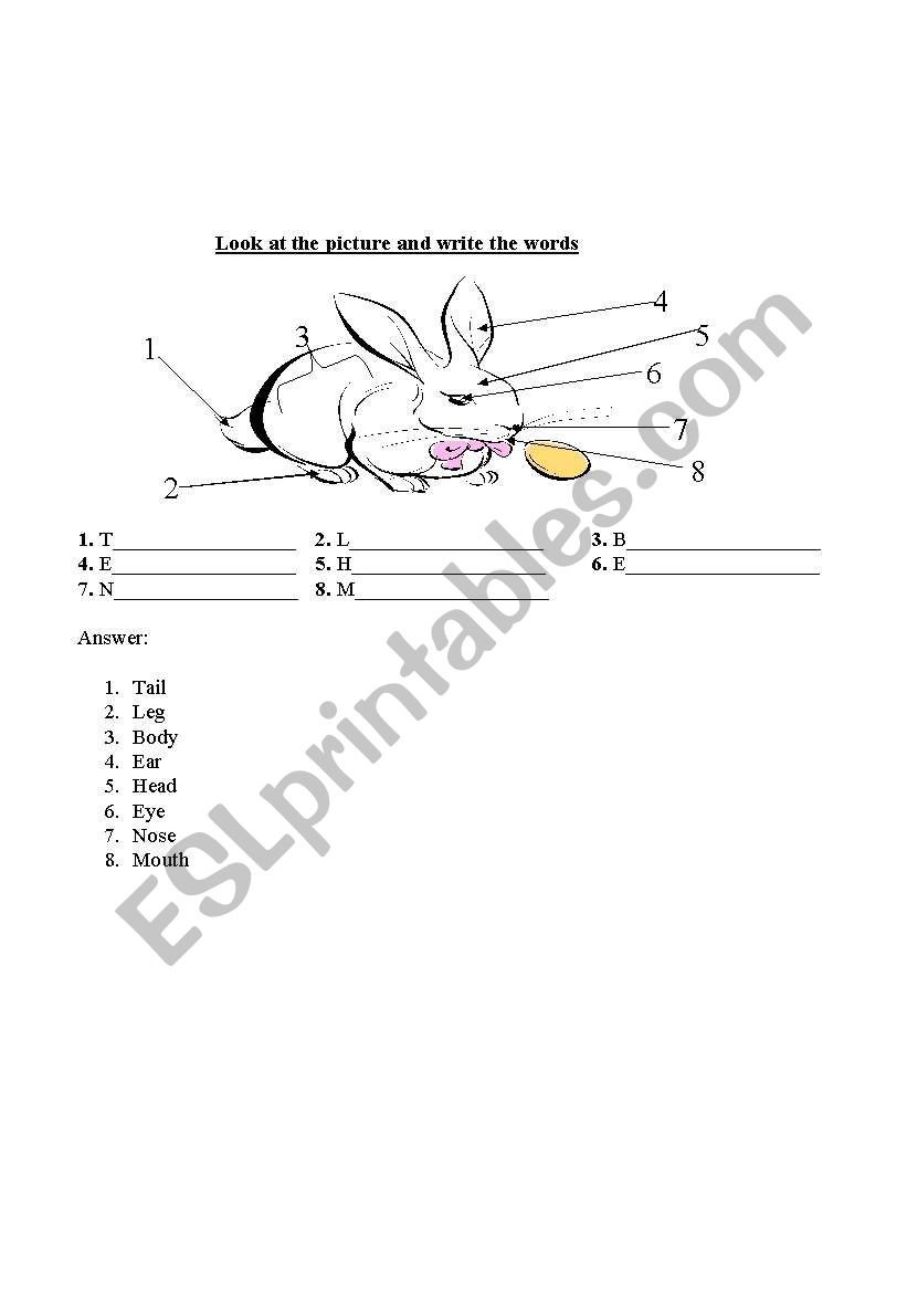 Body  worksheet