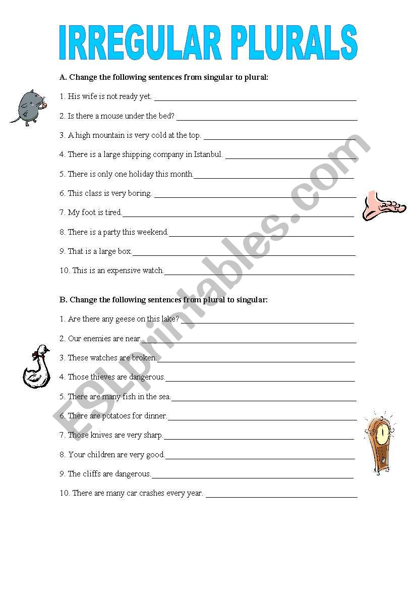 Irregular plurals worksheet