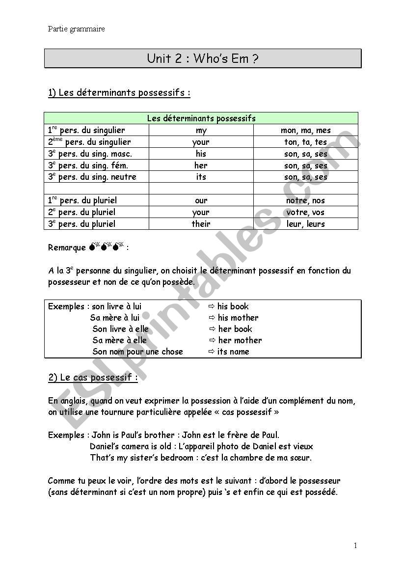 possessive adjectives worksheet