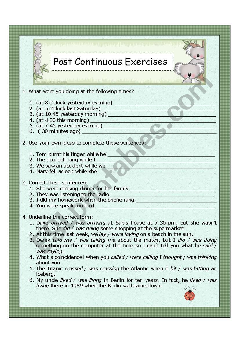 Past Continuous Exercises worksheet