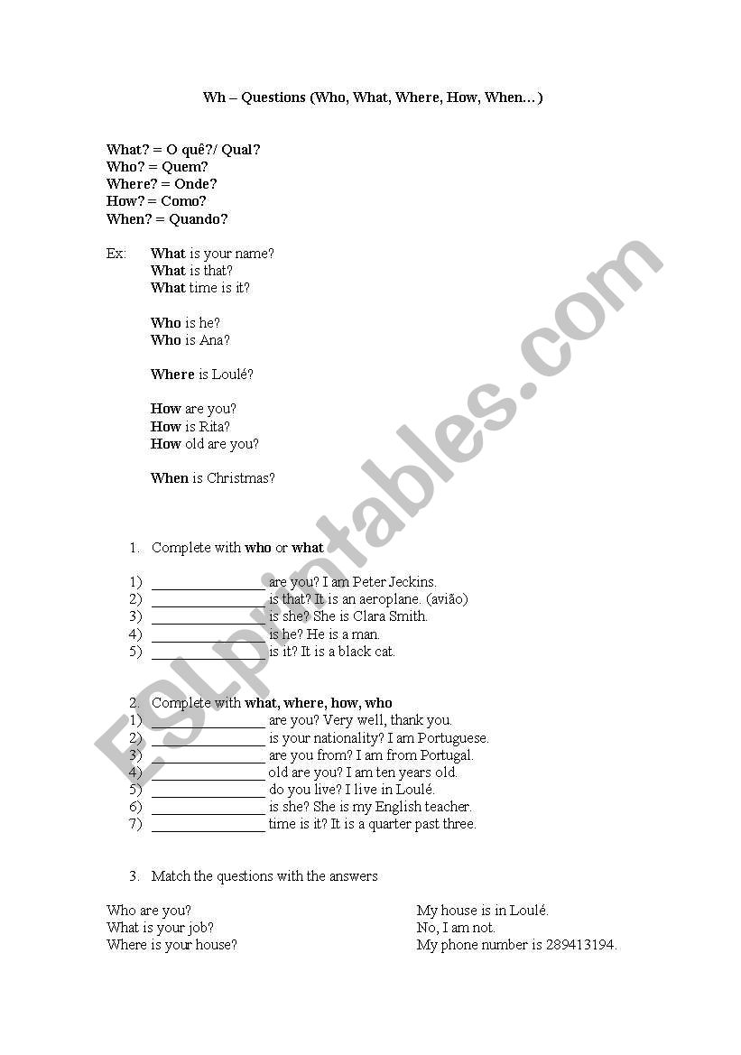 WH-questions worksheet