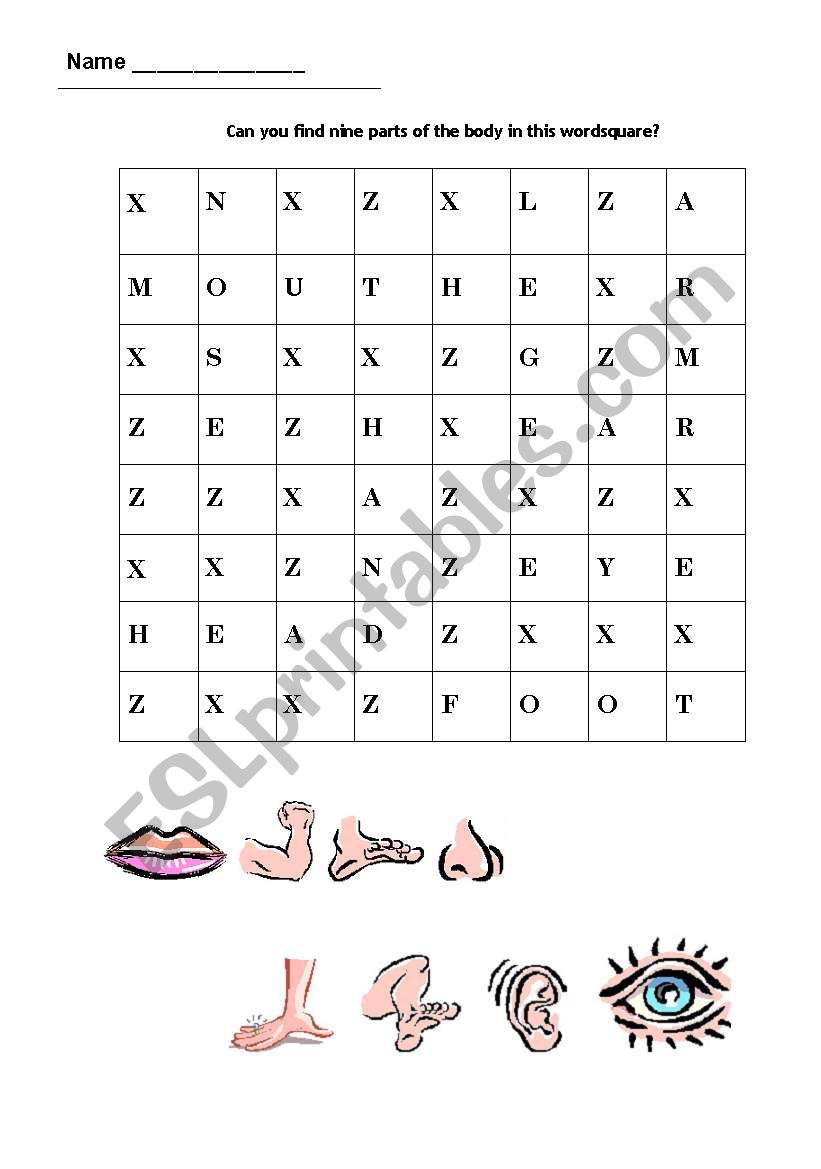 body wordsearch worksheet