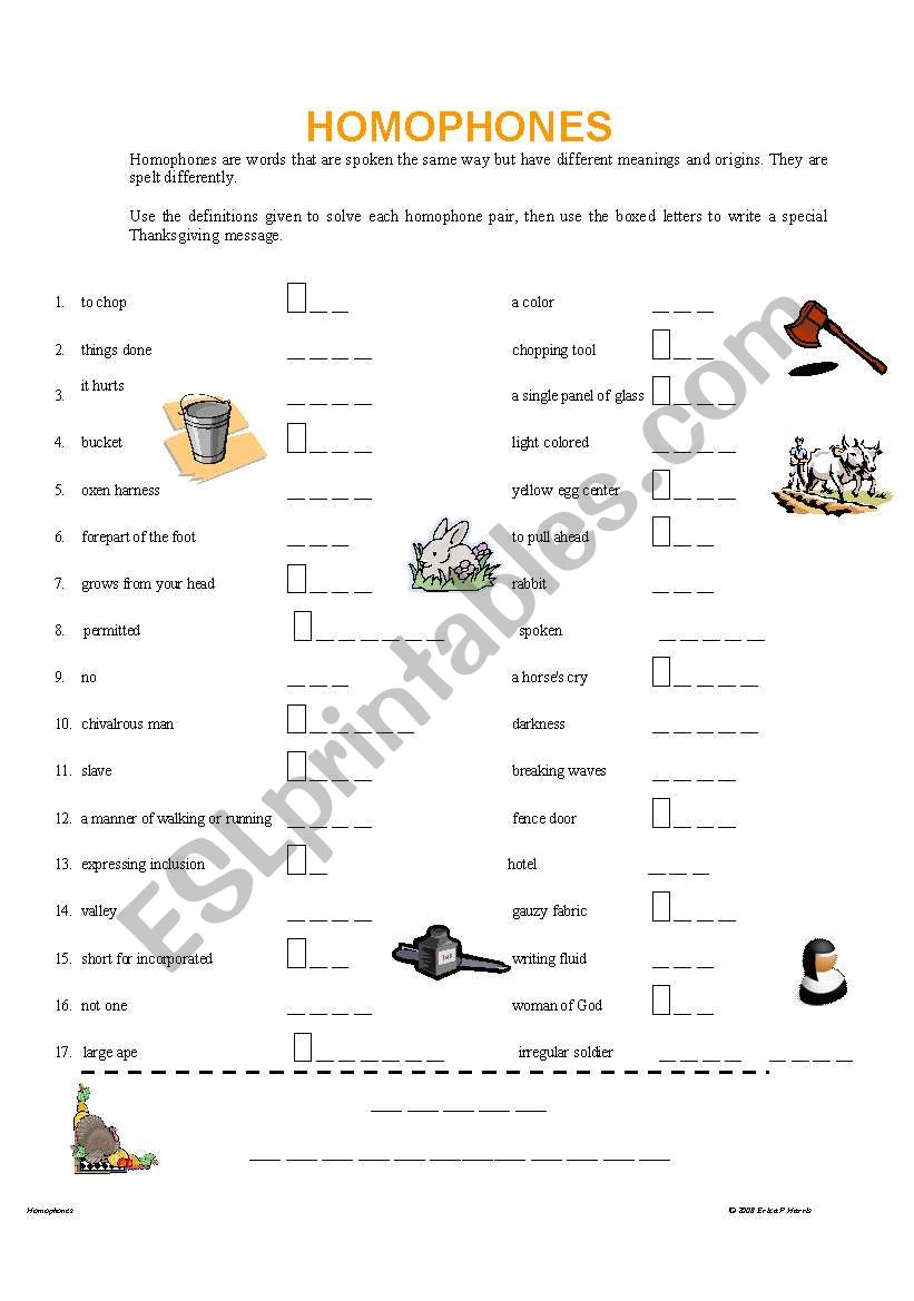 Homophones worksheet