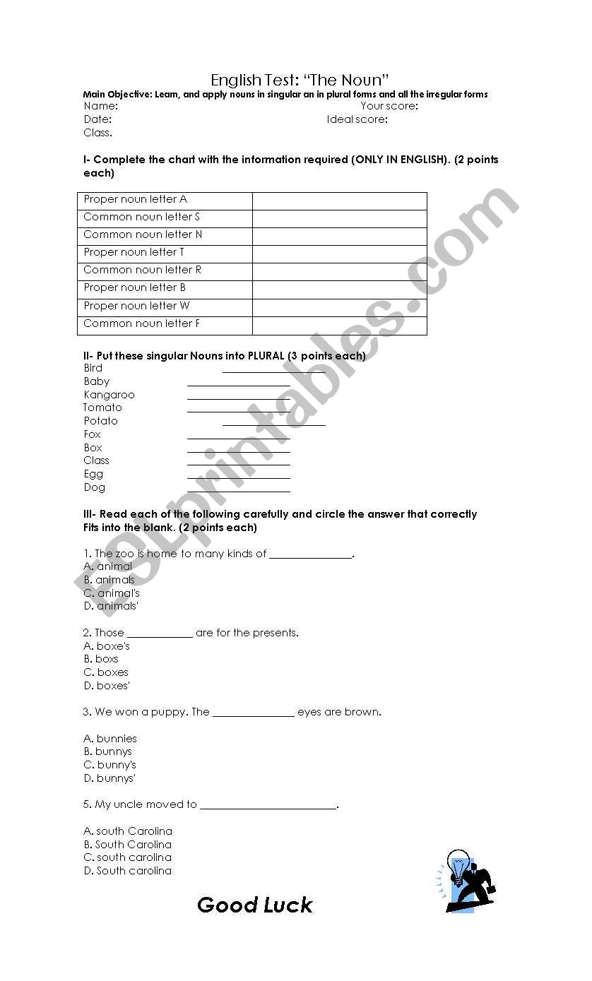 The Noun - test worksheet