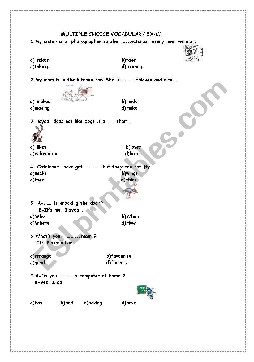 Multiple choice vocabulary  test