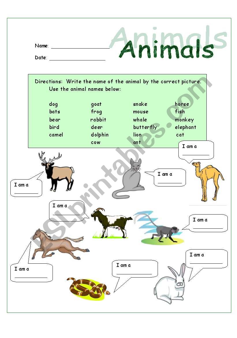 Animal Names and Sentences worksheet