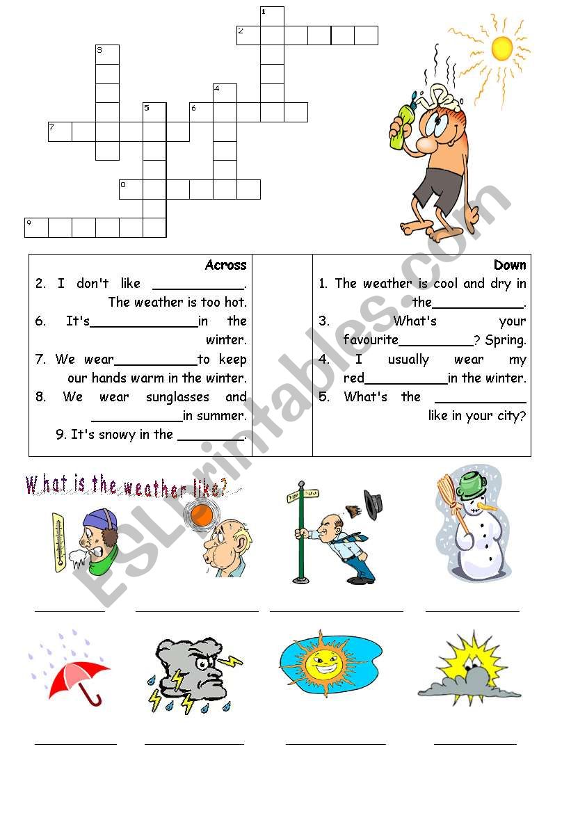 weather and seasons worksheet