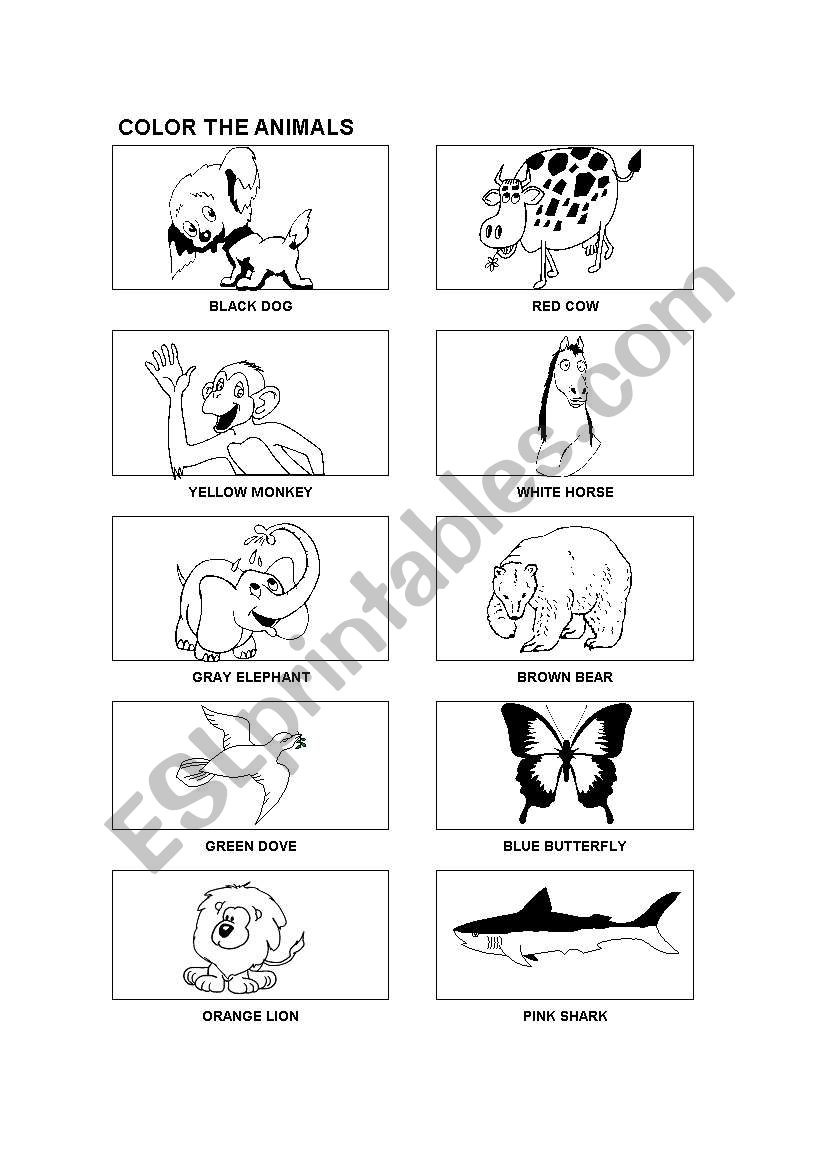 Animals and colors worksheet