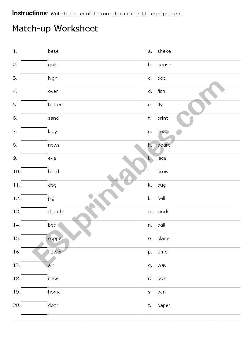 WORD MATCH UP worksheet