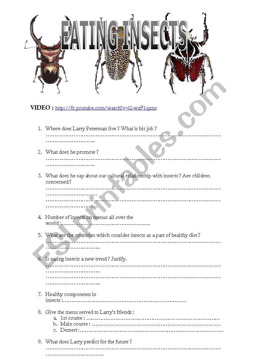 eating insects worksheet