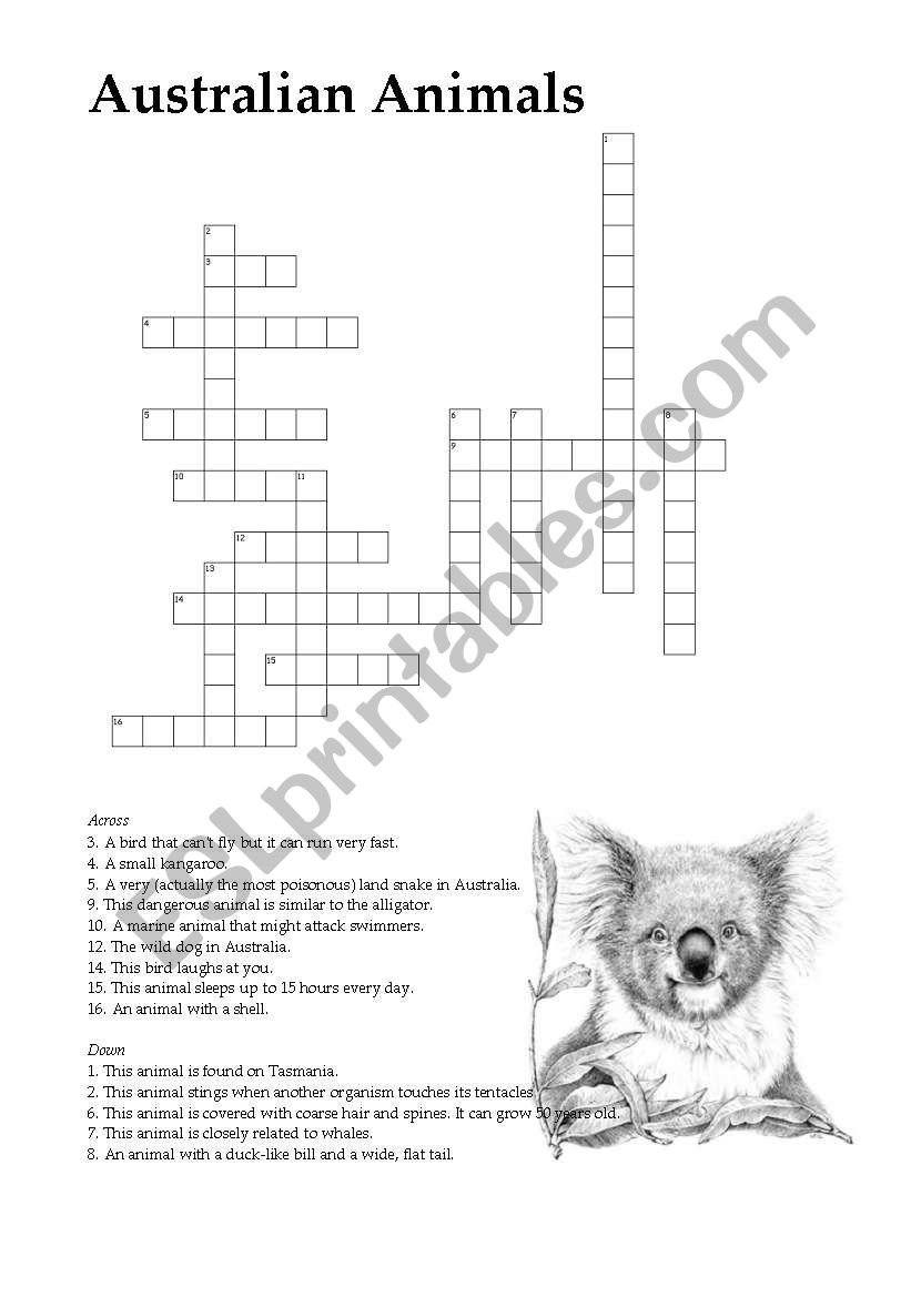 Australian Animals worksheet