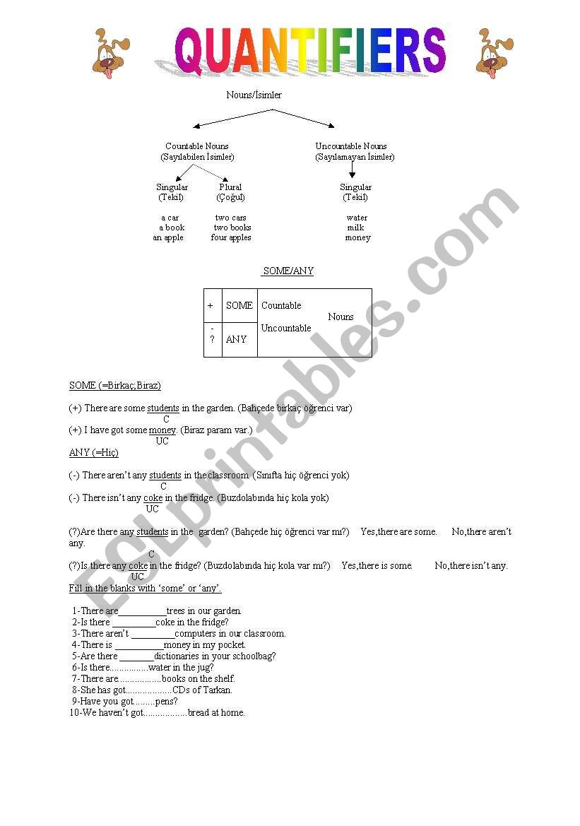 Quantifiers(some,any,much,many, alot of )