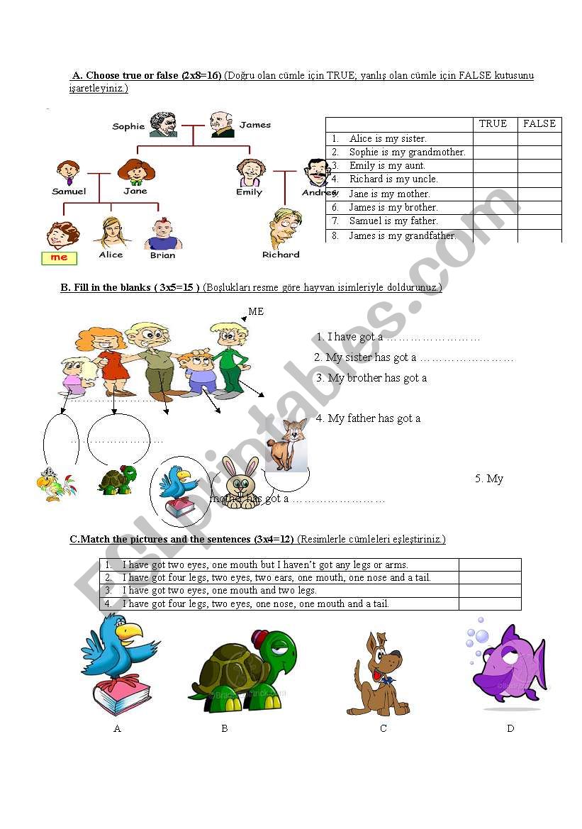 family tree worksheet