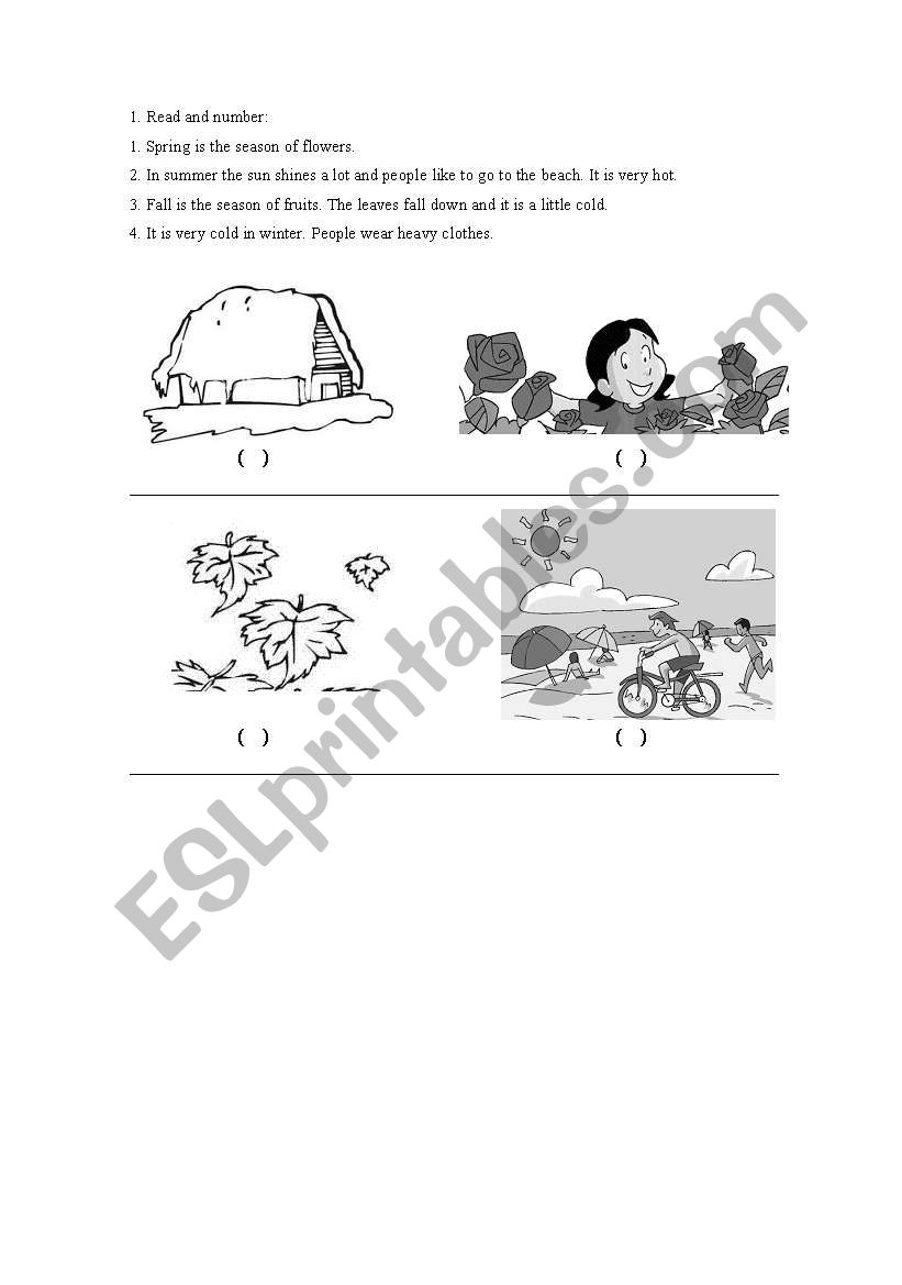 Seasons worksheet