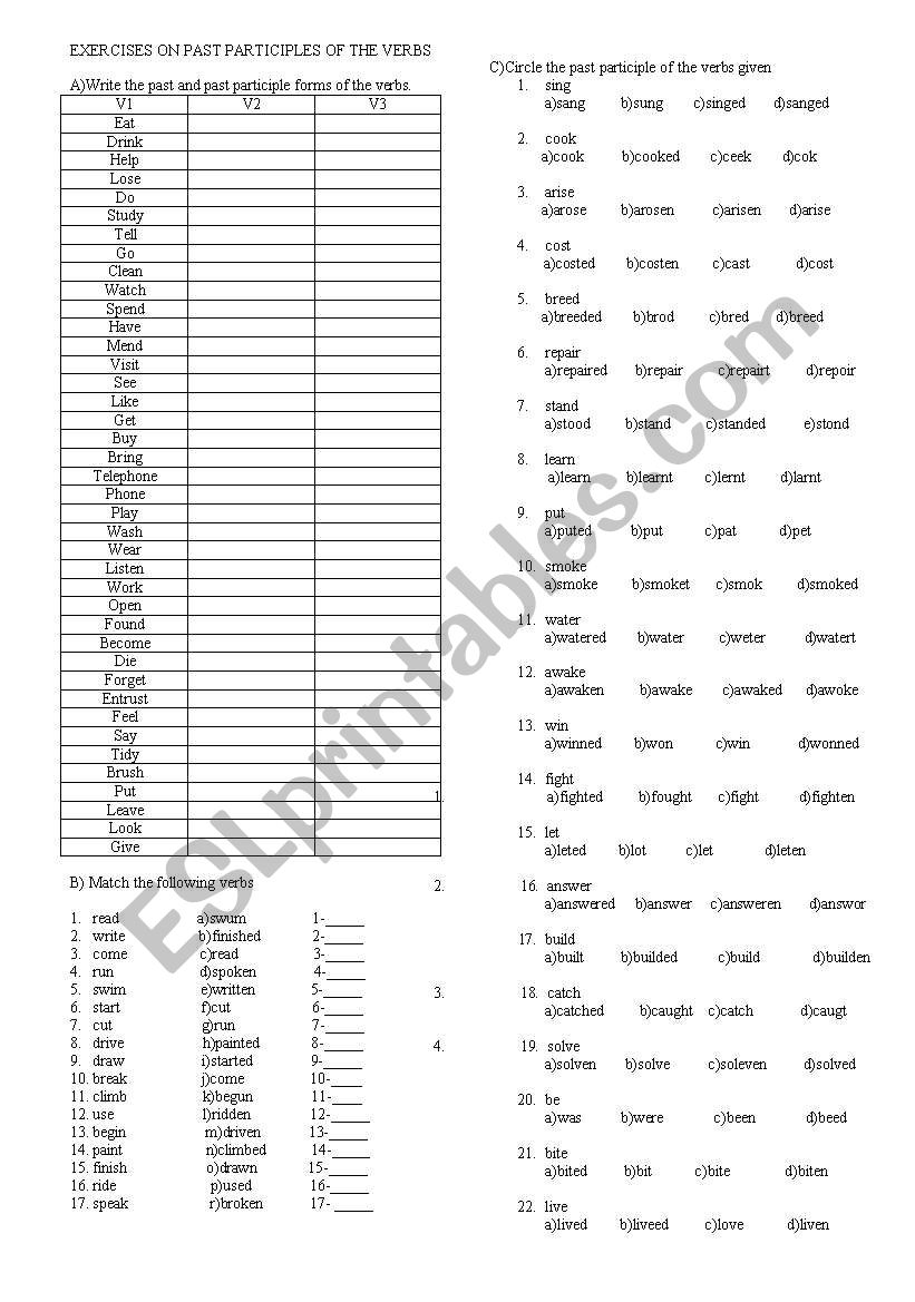 exercises on past participles worksheet