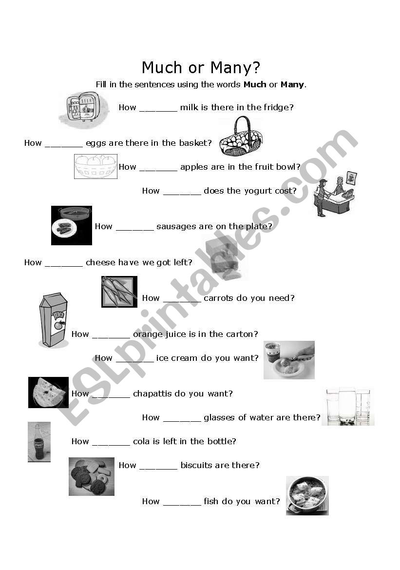 How Much or How Many using Food