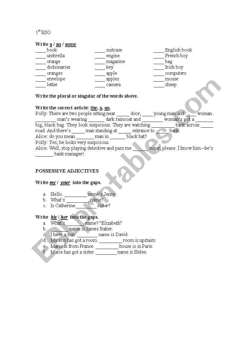 Revision of: a, an, the some and possessive adjectives