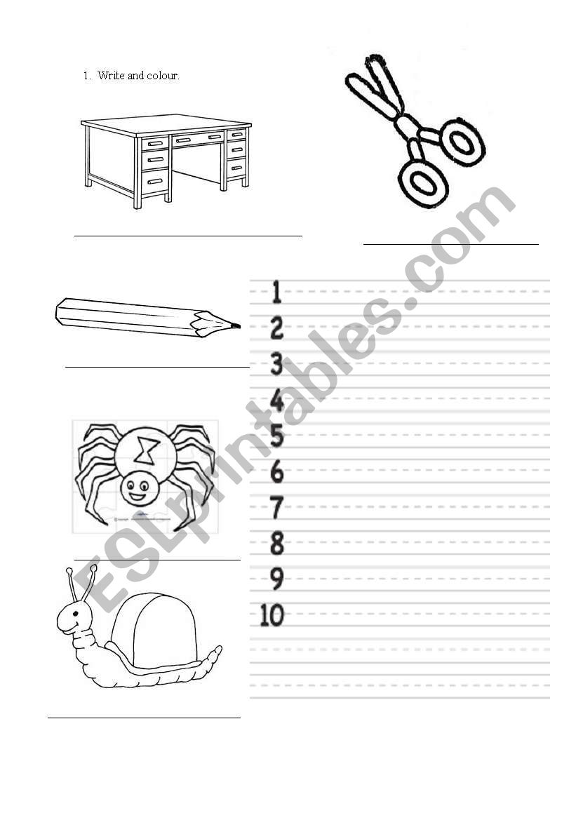 numbers and objects worksheet