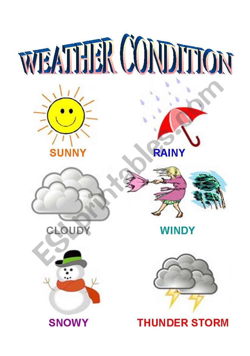 the weather worksheet