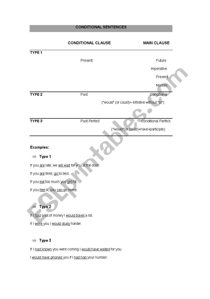 Conditional Sentences worksheet