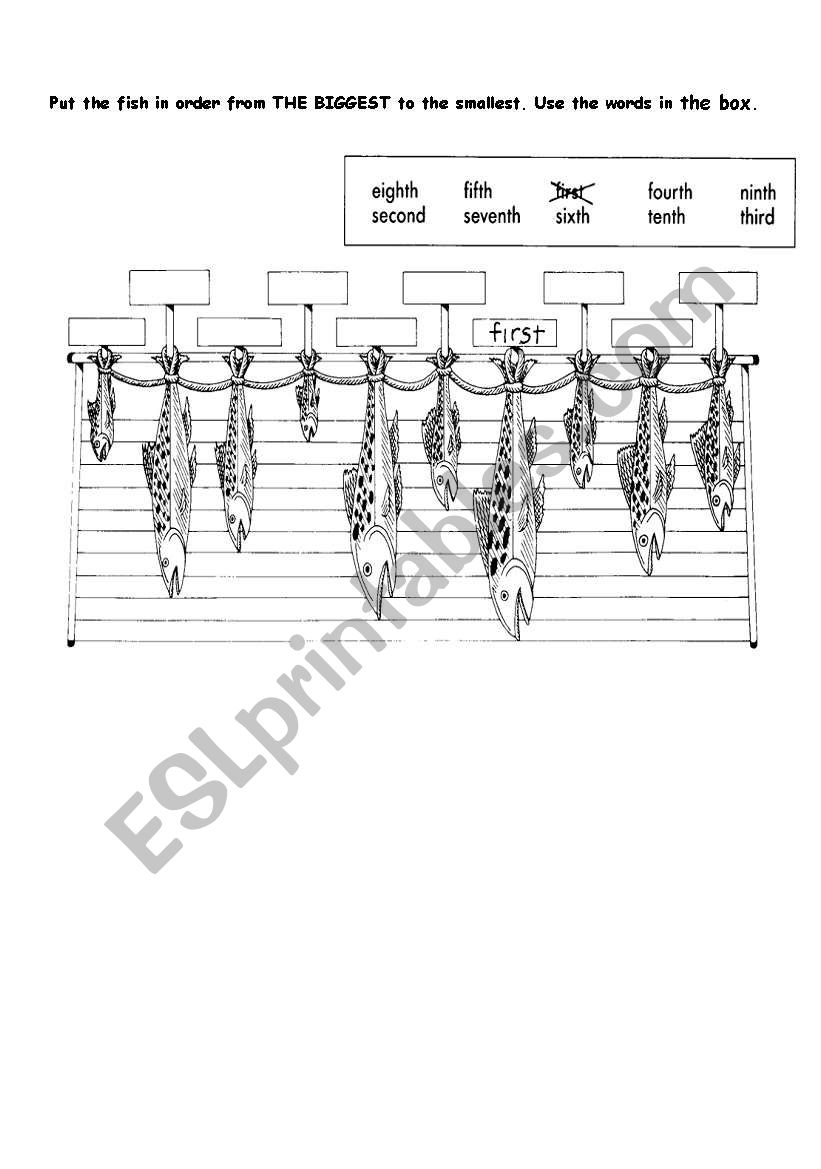 Ordinal Numbers worksheet