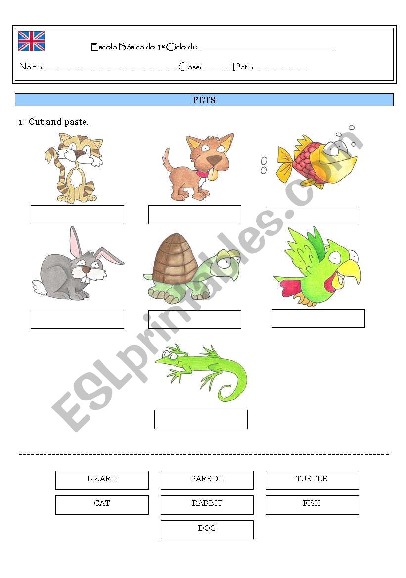 PETS worksheet