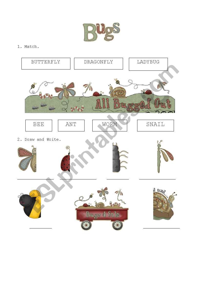 Bugs worksheet