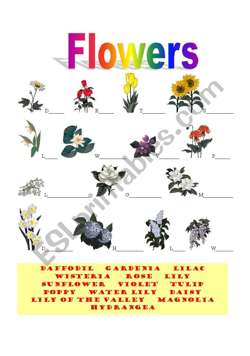 Flowers worksheet