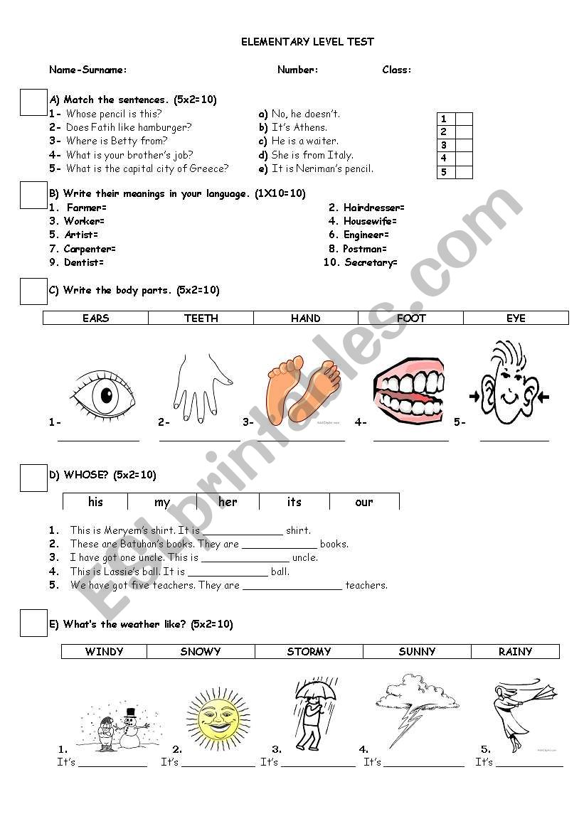 ELEMENTARY LEVEL TEST worksheet