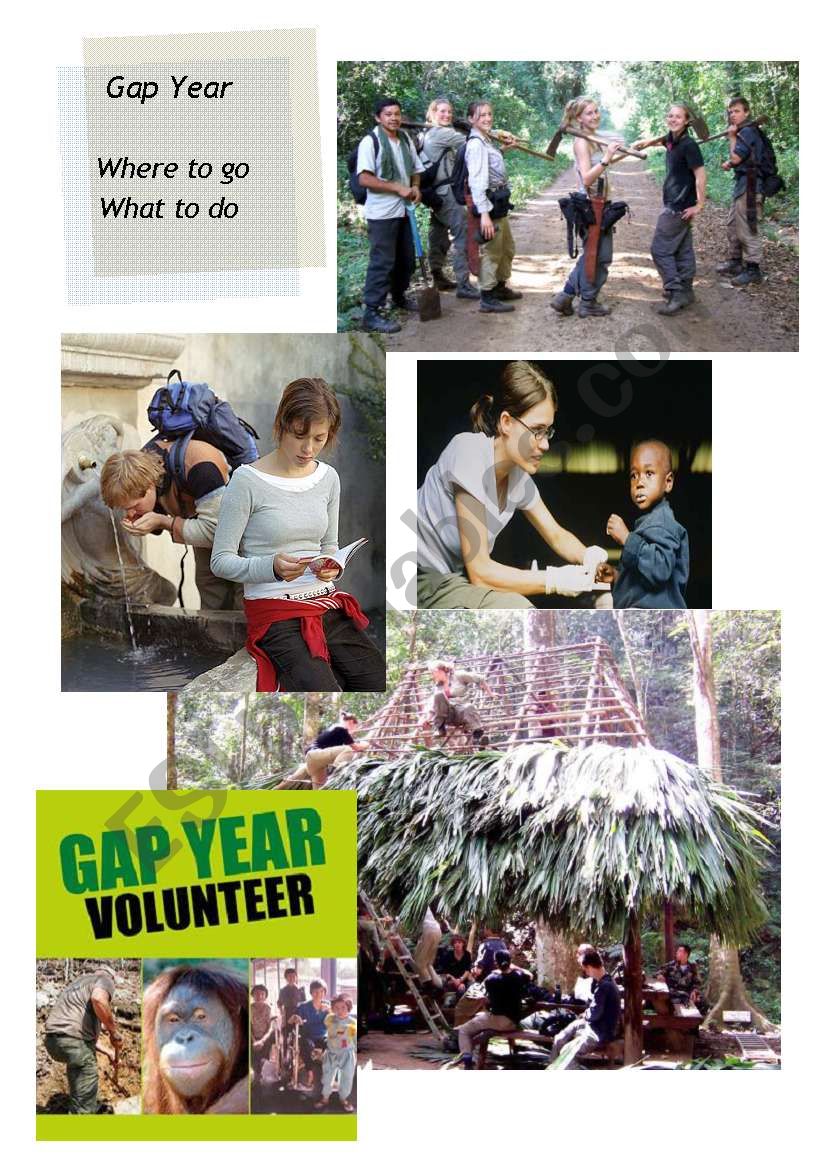 Gap Year 1/2 worksheet